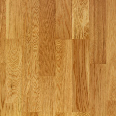 Family Nature Lacquered Oak (14mm x 207mm)